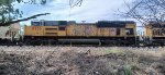 UP 8956